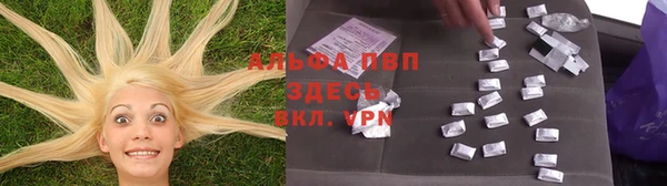 MESCALINE Нефтекумск