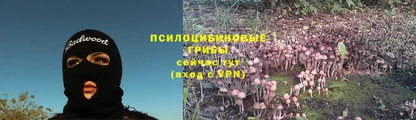 сатива Нефтегорск