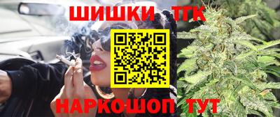 сатива Волгодонск