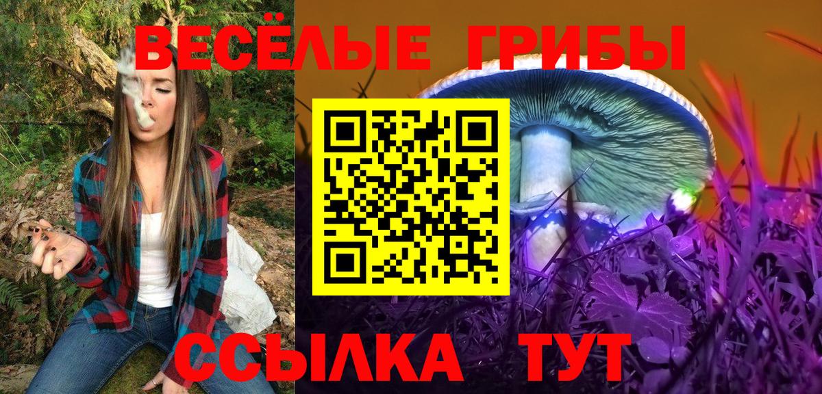 Галлюциногенные грибы Cubensis  Вход с VPN  Саранск 
