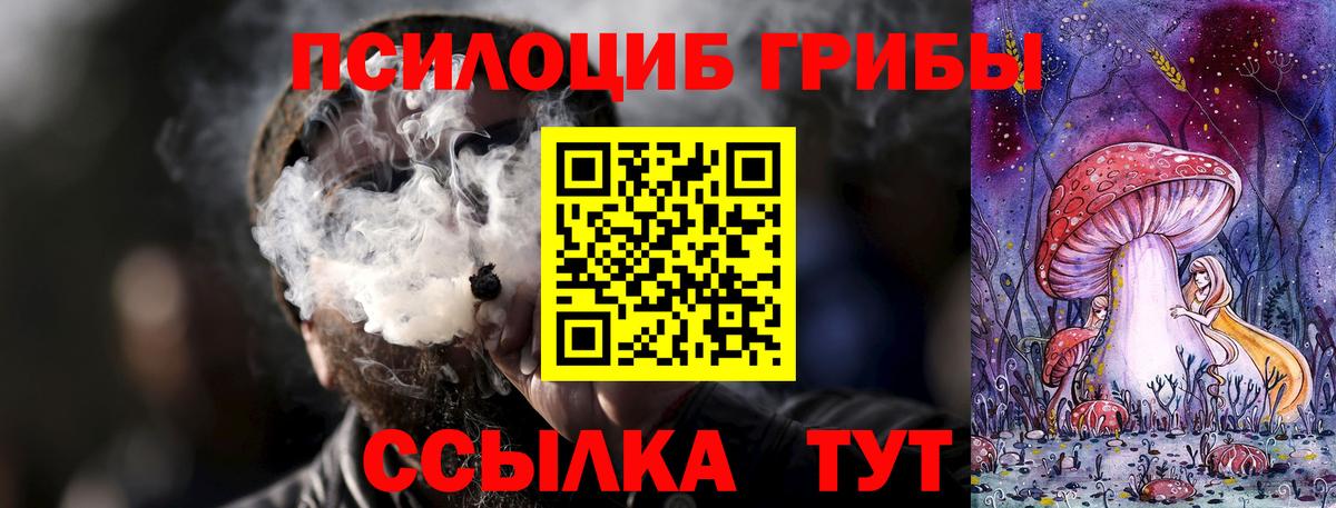 Псилоцибиновые грибы Magic Shrooms  Саранск 