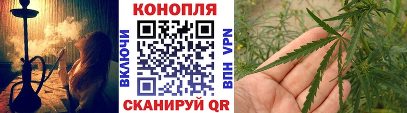 где продают наркотики  Саранск  Каннабис семена 